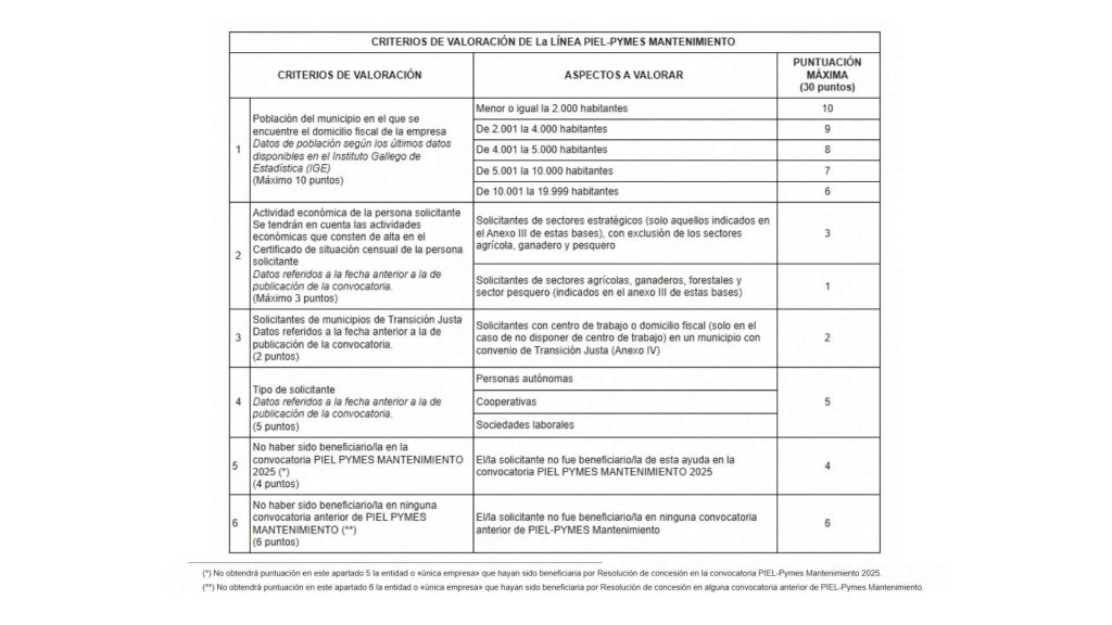Tabla de los Criterios de concesión de las ayudas PEL 2026 mantenimiento del empleo
