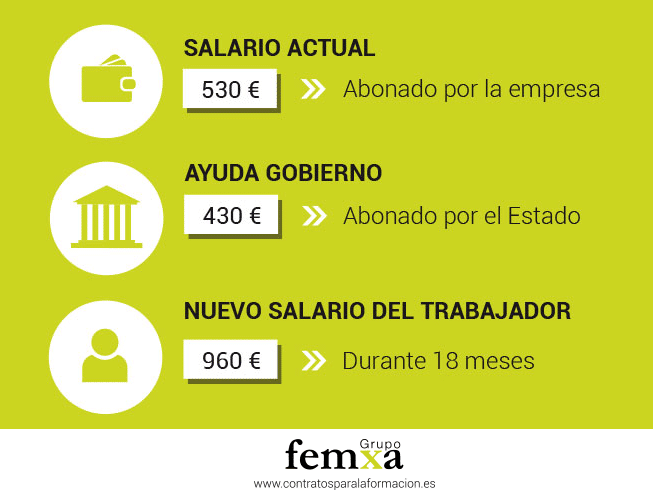 La Ayuda de 430 euros para Jóvenes