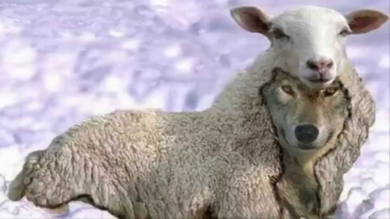 Fin al aplazamiento en el pago de impuestos